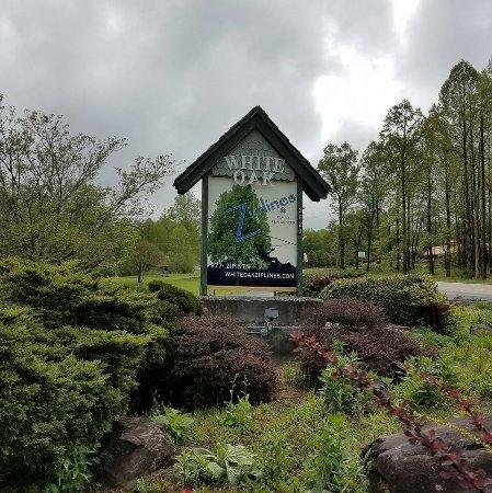 White Oak Ziplines