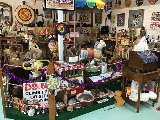 The American Museum of the House Cat