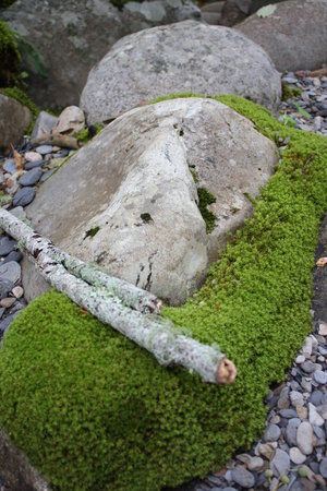 Greenbrier Picnic Area