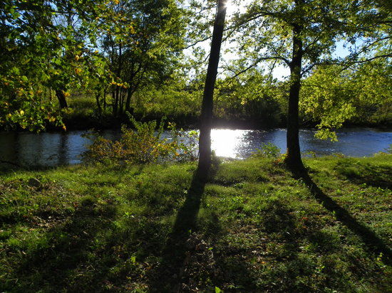 Apple Valley Corn Maze