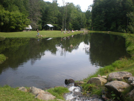 Cooper Creek Trout Farm & Pond
